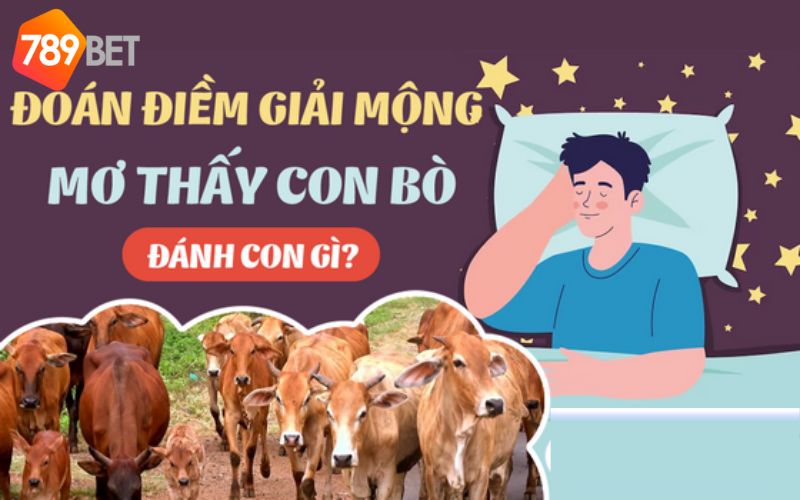 Lý giải ý nghĩa các giấc mơ thấy bò khác