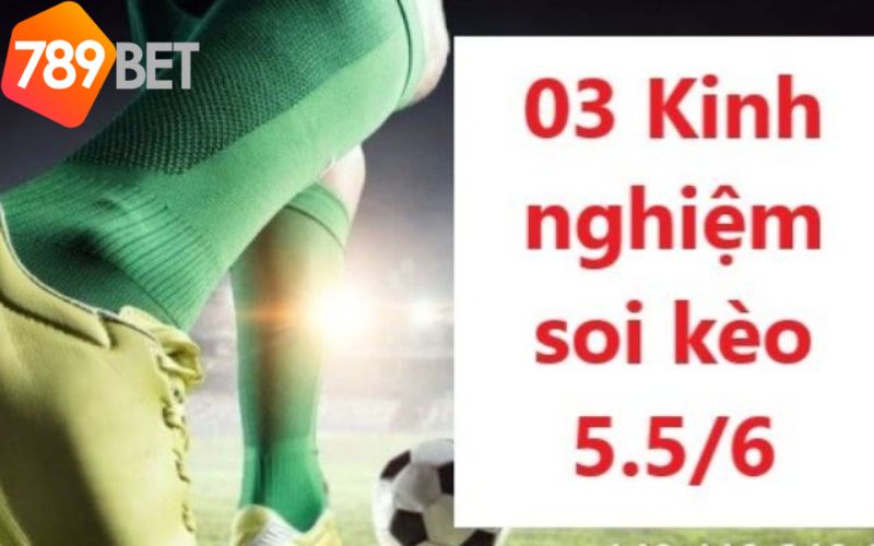 Kinh nghiệm soi kèo 5.5/6 là gì từ cao thủ